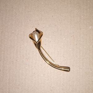 Golden Brooch